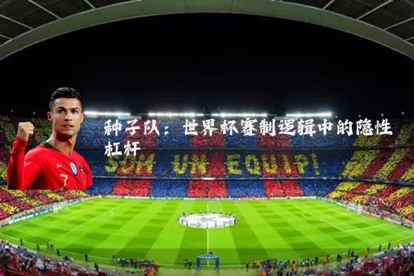 种子队：世界杯赛制逻辑中的隐性杠杆