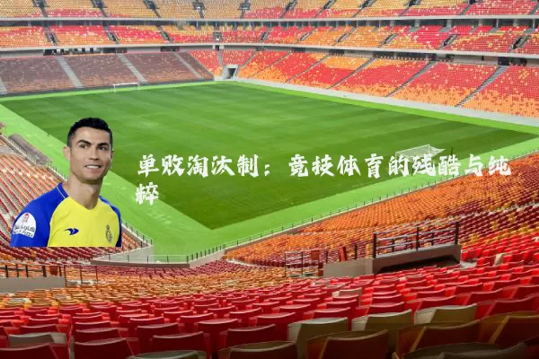 单败淘汰制:竞技体育的残酷与纯粹